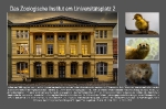 Fotoausstellung 2021 - Rostock historisch